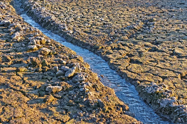 Malé vodní proud na sušené rozpraskané zemi — Stock fotografie