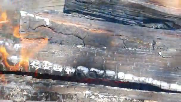 Drewno Opałowe Palenie Metalowej Tacy Słoneczną Pogodę Makra Pozioma Panorama — Wideo stockowe