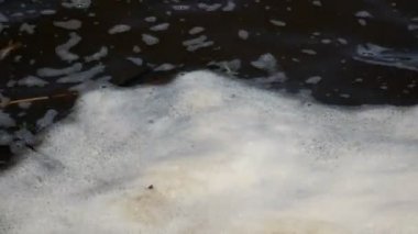 Dalgalar gölet su yüzeyi kirli köpük ve organik kirlilik, ekolojik kavram, yakın çekim