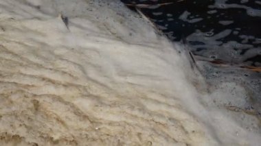 Kirli köpük gölet su yüzeyi ile organik kirlilik, ekolojik kavram, yakın çekim