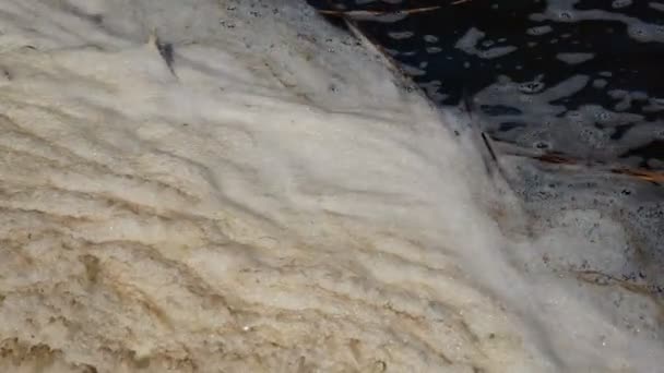 Dirty Foam Pond Water Surface Organic Pollution Ecological Concept Close — Stock Video