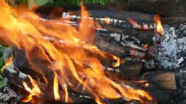 Brennholz Mit Flammenzunge Einer Rostigen Metallschale Für Das Kochen Freien — Stockvideo