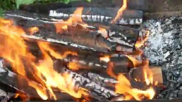 Brennholz Mit Flammenzunge Einer Rostigen Metallschale Freien Über Grünem Gras — Stockvideo