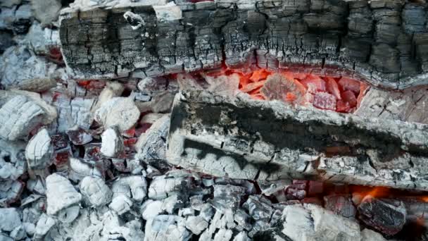 Καυσόξυλα Κόκκινο Καυτό Κάρβουνο Σπινθήρες Και Γλώσσα Της Φωτιάς Γκρο — Αρχείο Βίντεο