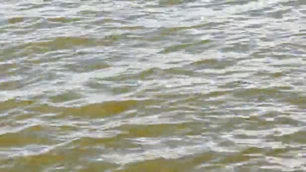 风天气下池塘水面波浪的1920X1080 视频背景 — 图库视频影像
