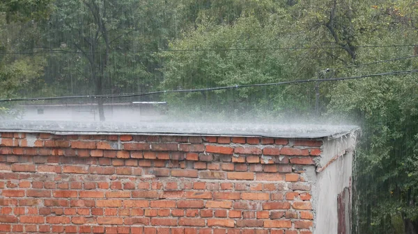 Chuva como chuva no telhado do celeiro no verão — Fotografia de Stock