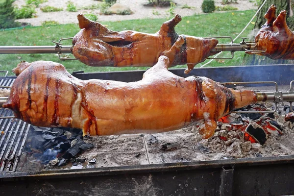 Carcasses de porc sur un feu de charbon — Photo