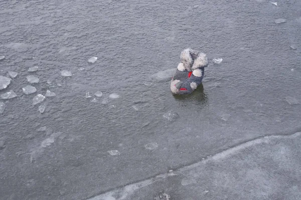 Fluffy Obsolete Discarded Vegan Slipper Gray Frozen Water Surface — Stock Photo, Image