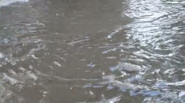 Şiddetli sağanak yağıştan sonra su basmış bir yolda giden bir araba. Derin ve büyük kirli gri su birikintisi otoyol alanında oluştu.