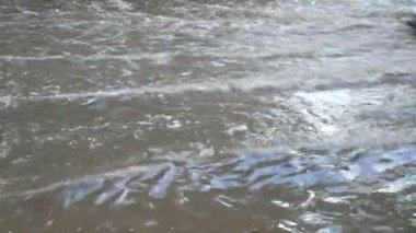 Şiddetli sağanak yağıştan sonra sular altında kalan yolda arabalar sürüyordu. Otoyolun kenarında derin ve büyük, kirli, gri bir su birikintisi oluştu.