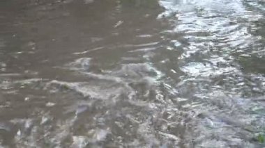 Şiddetli sağanak yağış sonrası su basmış bir yolda giden arabalar. Derin, kirli, gri su birikintisi otoyol bölgesinde oluştu.