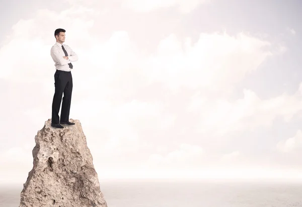 Glad affärsman står på klippan — Stockfoto