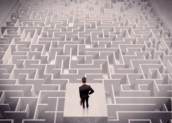 Labirynth yukarıdan bakarak işadamı