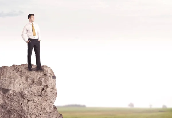 Happy salesman on cliff in the country — Stock Photo, Image