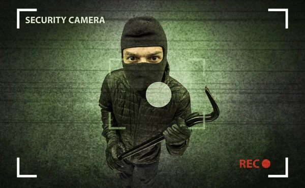 Burglar in action. — Stock Photo, Image