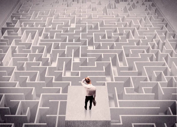 Labirynth yukarıdan bakarak işadamı