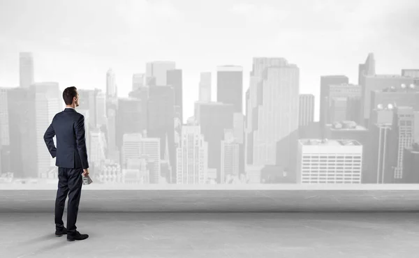 Businessman looking at a big city panorama — Stock Photo, Image