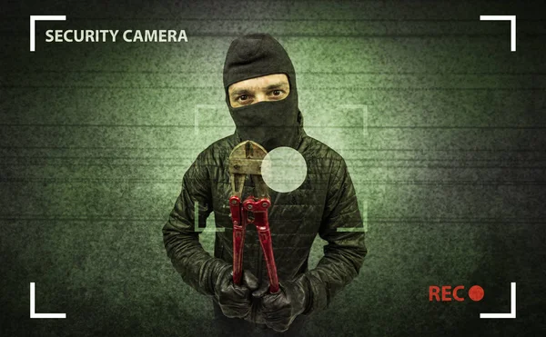 Burglar in action. — Stock Photo, Image