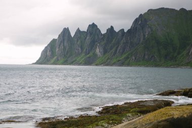 Şeytanlar dişler, Tungeneset, Senja, Norveç