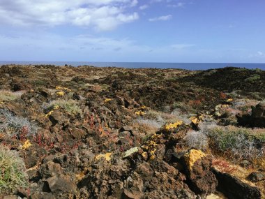 Yukarıdan görüntülemek plaj ve Atlantik Okyanusu üzerinde Kanarya Adası Fuerteventura, İspanya