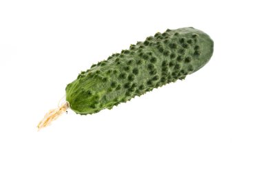 salatalık beyaz arkaplanda izole edildi