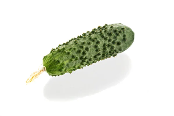 Pepino isolado no fundo branco — Fotografia de Stock