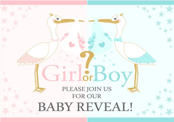 Baby Gender Reveal party. Bebé ducha — Vector de stock