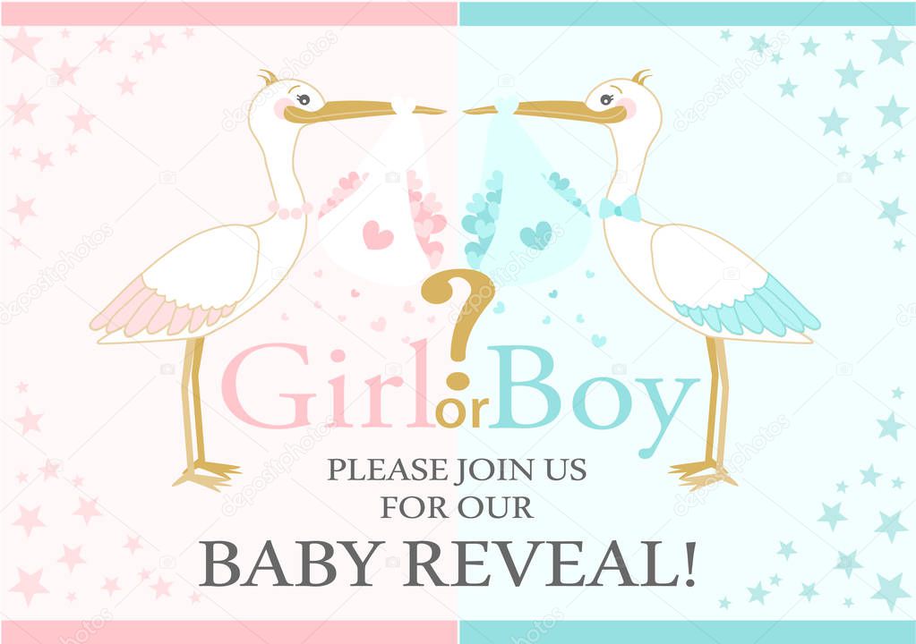 Baby Gender Reveal party. Baby shower