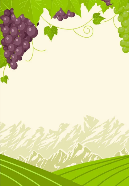 Landscape of vineyards vector — Stock Vector