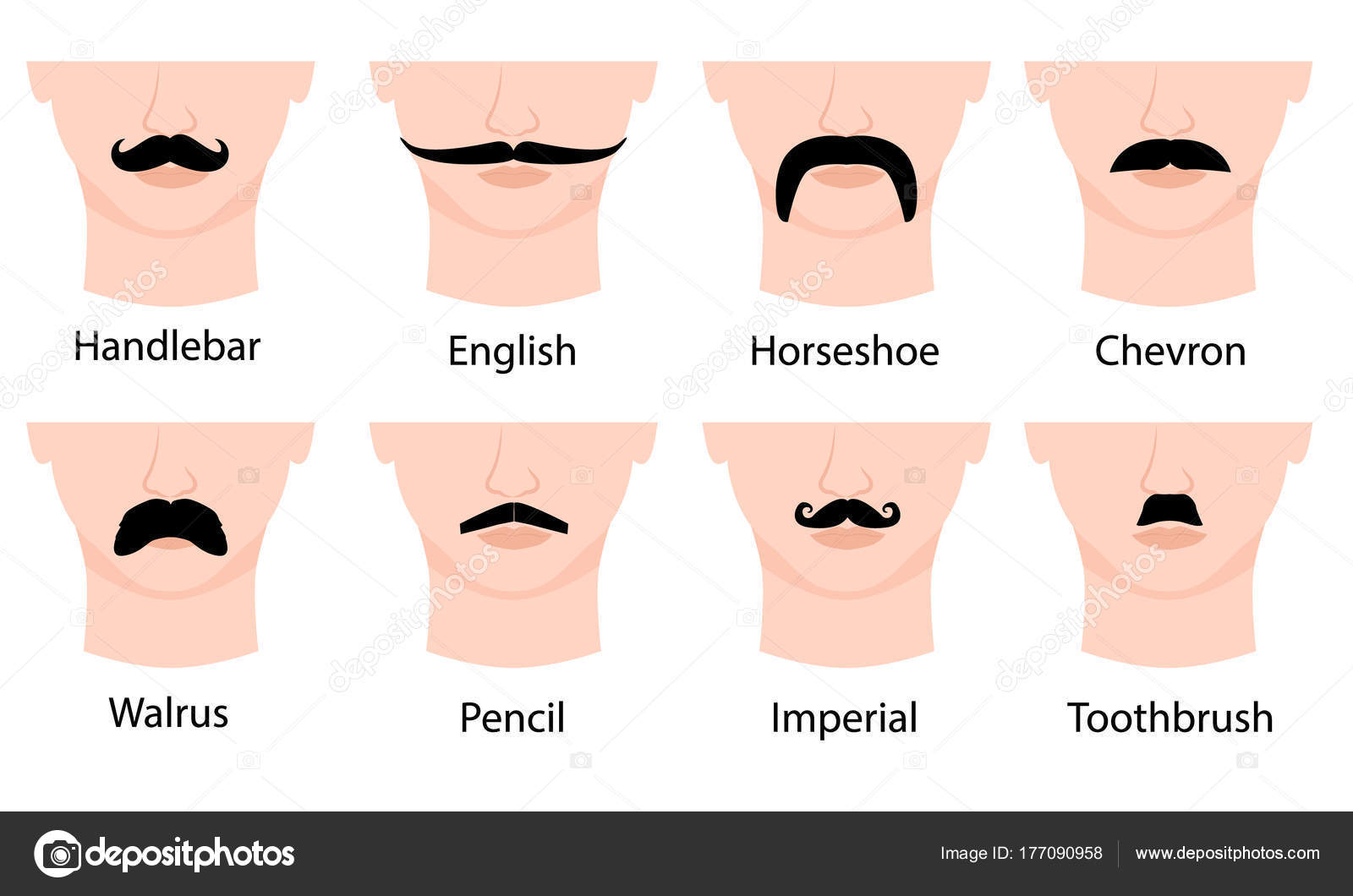 Set Mustaches Mans Face Isolated White Background Vector Illustration Moustache Stock Vector Image By C Alenaspl Set Mustaches Mans Face Isolated White Background Vector Illustration Moustache Stock Vector Image By C Alenaspl