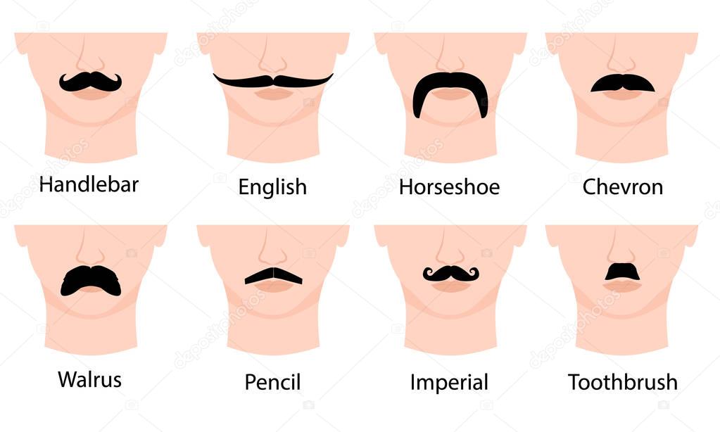 Set of mustaches on mans face. Isolated on white background. Vector illustration. Moustache types with names: Handlebar, English, Horseshoe, Chevron, Walrus, Pencil, Imperial, Toothbrush.