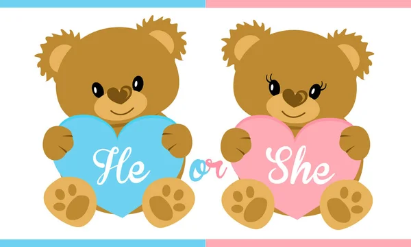 Schattig Vectorillustratie Karakter Teddybeer Met Blauwe Roze Hart Gender Reveal — Stockvector