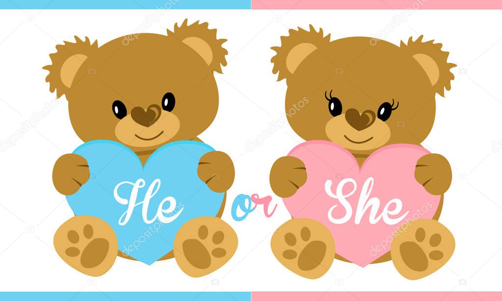 Cute vector character illustration. Teddy bear holding blue and pink heart. Gender reveal party. Boy or girl? Invitation template card. Birth child. Baby shower. Twins icon. She or he. Mister or miss