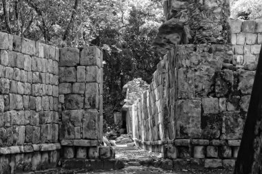 Maya antik duvar 