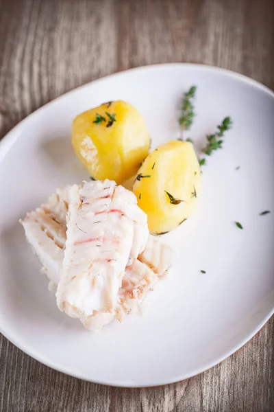 Steamed fish and potato — Stock Photo, Image