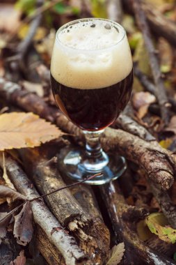 Sonbahar ormandaki karanlık bira