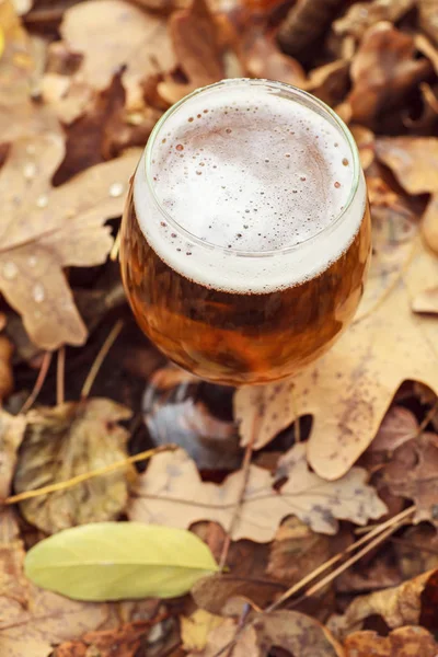 Bier im Herbstwald — Stockfoto