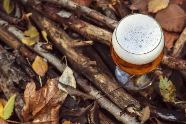 Cerveja na floresta de outono — Fotografia de Stock