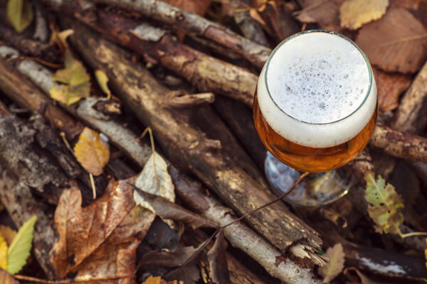 Beer in autumn forest