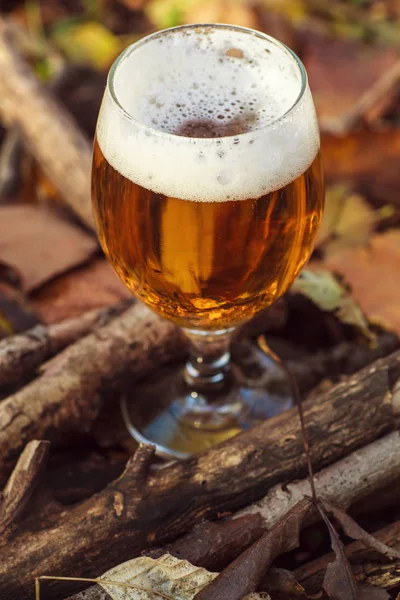 Cerveja na floresta de outono — Fotografia de Stock
