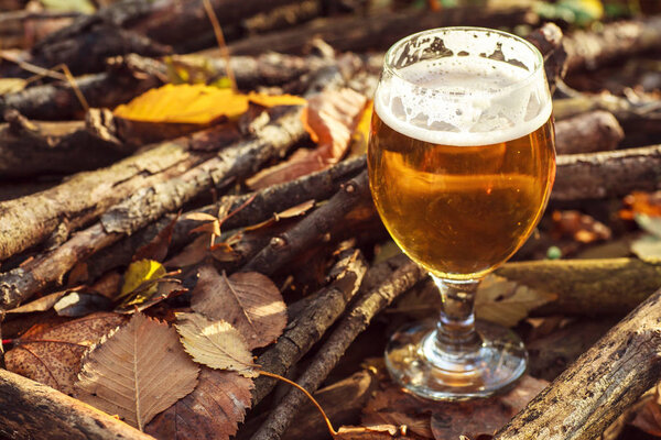 Beer in autumn forest