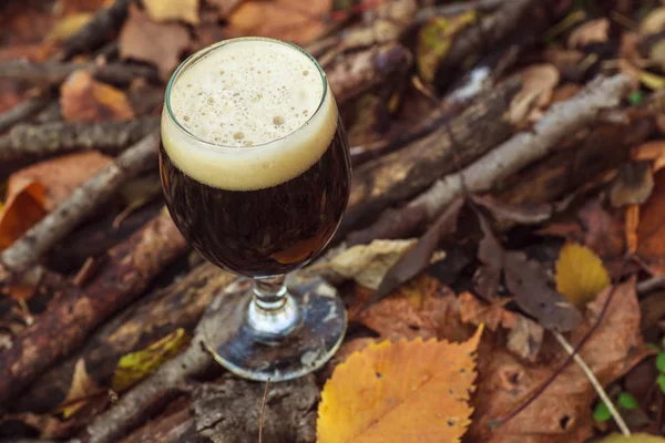 Cerveza oscura en bosque de otoño — Foto de Stock