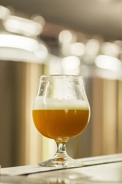 Pohár búza sör a sörgyár — Stock Fotó