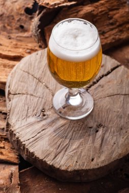 Güdük üzerinde hafif bira
