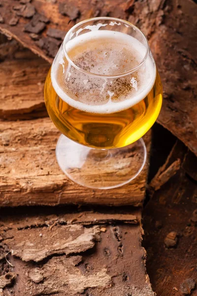 Cerveja leve em latido — Fotografia de Stock