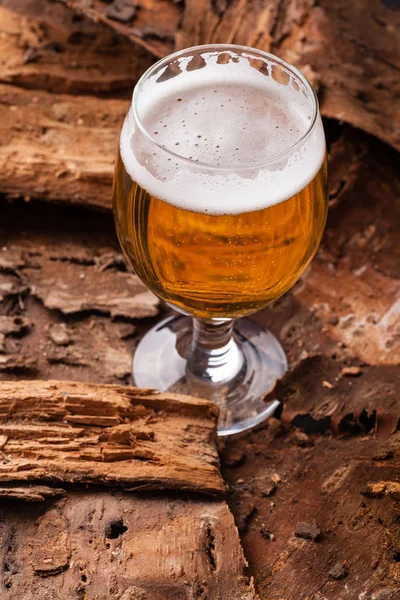 Light beer on bark — Stock Photo, Image