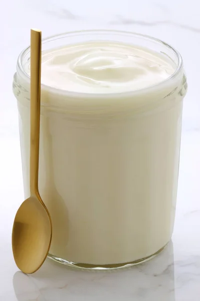 Plain french style yogurt — Stock Photo, Image