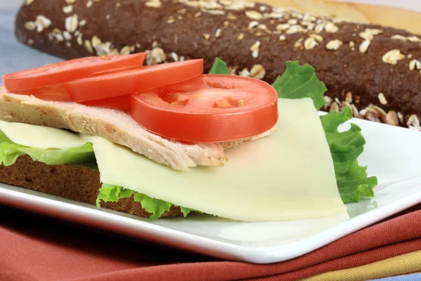 Smörgås med ugn rostad kalkon — Stockfoto