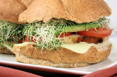 fırın kavrulmuş hindi sandviç  