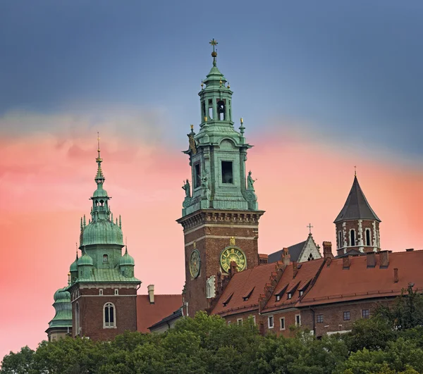 Wawel Kalesi görüntülemek — Stok fotoğraf